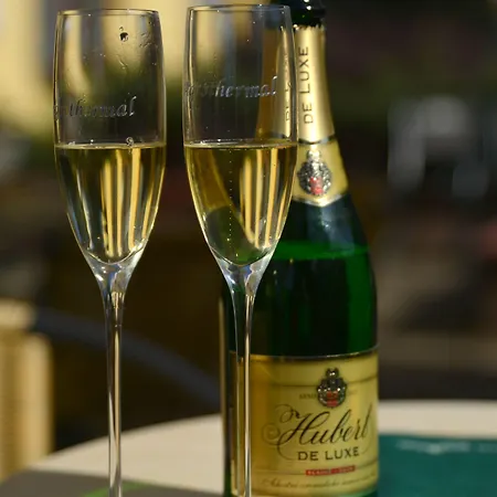 Гостевой дом Penzion Agrothermal Бешенёва