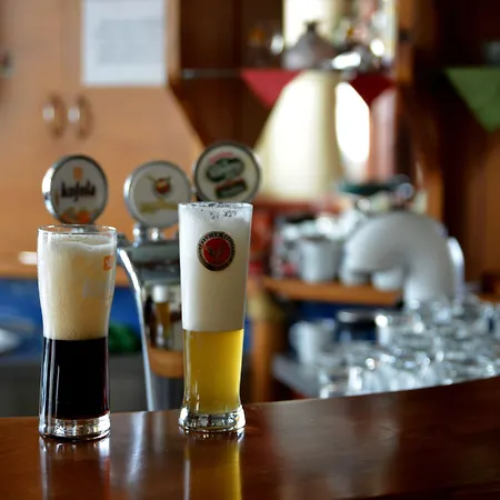 Гостевой дом Penzion Agrothermal Бешенёва